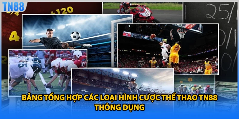 Bảng tổng hợp các loại hình cược thể thao TN88 thông dụng