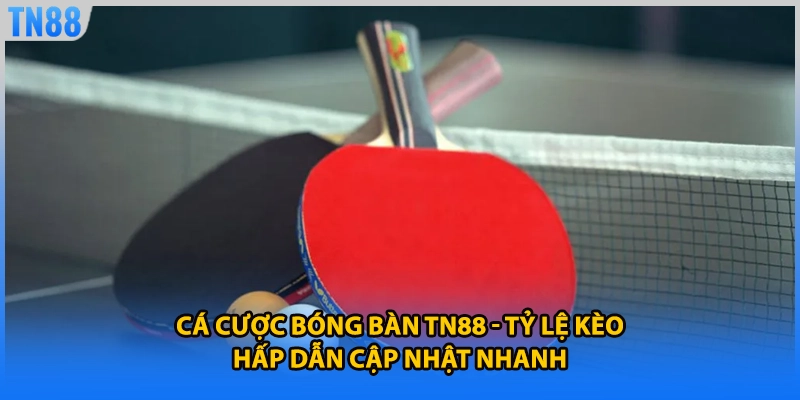 Cá Cược Bóng Bàn TN88 - Tỷ Lệ Kèo Hấp Dẫn Cập Nhật Nhanh