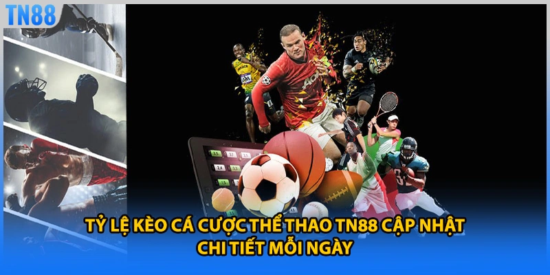 Tỷ lệ kèo cá cược thể thao TN88 cập nhật chi tiết mỗi ngày