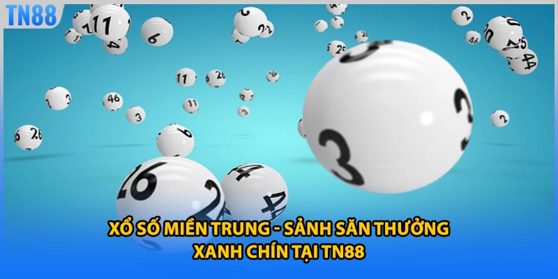 Xổ Số Miền Trung - Sảnh Săn Thưởng Xanh Chín Tại TN88